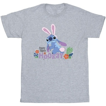 Abbigliamento Bambina T-shirts a maniche lunghe Disney Lilo & Stitch Hippity Hop Stitch Grigio