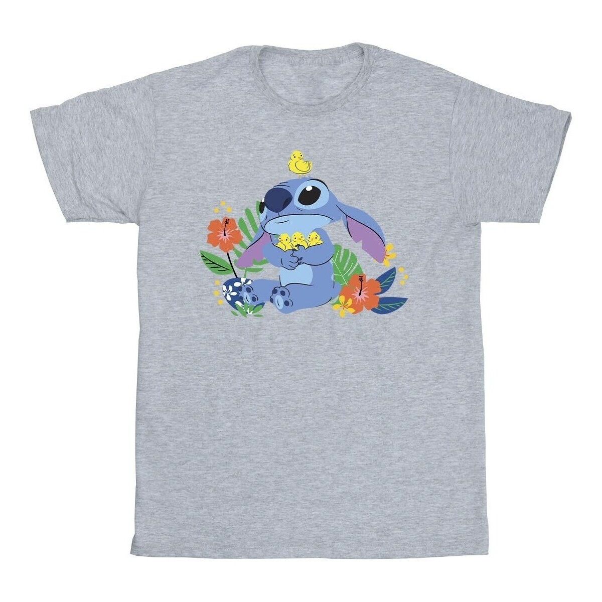 Abbigliamento Bambina T-shirts a maniche lunghe Disney Lilo & Stitch Birds Grigio