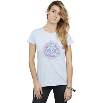 Abbigliamento Donna T-shirts a maniche lunghe Harry Potter Neon Deathly Hallows Grigio