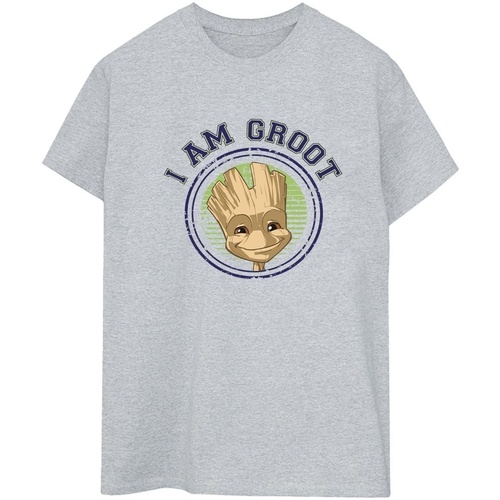 Abbigliamento Donna T-shirts a maniche lunghe Guardians Of The Galaxy Groot Varsity Grigio
