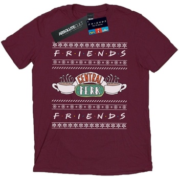 Abbigliamento Uomo T-shirts a maniche lunghe Friends Fair Isle Central Perk Multicolore