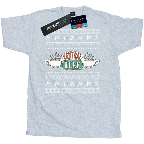Abbigliamento Uomo T-shirts a maniche lunghe Friends Fair Isle Central Perk Grigio