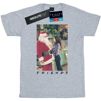 Abbigliamento Uomo T-shirts a maniche lunghe Friends Chandler Claus Grigio