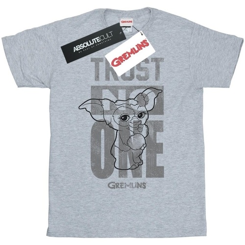 Abbigliamento Donna T-shirts a maniche lunghe Gremlins Trust One Mogwai Grigio