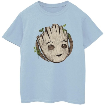 Abbigliamento Bambino T-shirt maniche corte Marvel I Am Groot Wooden Head Blu