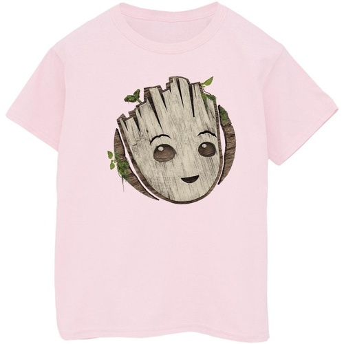 Abbigliamento Bambino T-shirt maniche corte Marvel I Am Groot Wooden Head Rosso