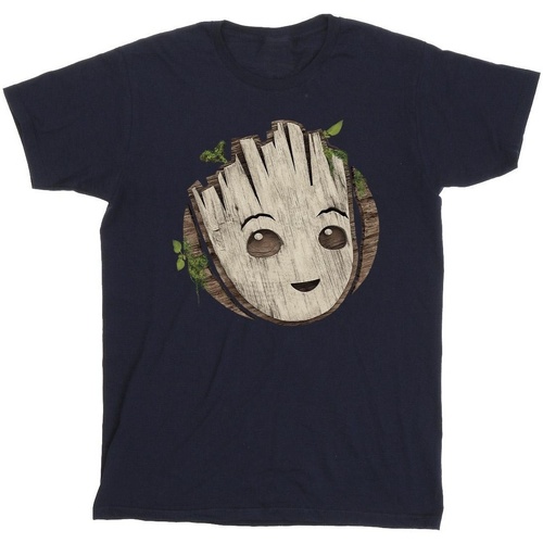 Abbigliamento Bambino T-shirt maniche corte Marvel I Am Groot Wooden Head Blu