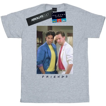 Abbigliamento Uomo T-shirts a maniche lunghe Friends Ross And Chandler College Grigio