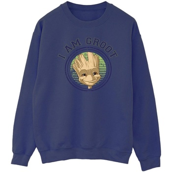 Abbigliamento Uomo Felpe Guardians Of The Galaxy Groot Varsity Blu
