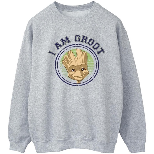 Abbigliamento Uomo Felpe Guardians Of The Galaxy Groot Varsity Grigio