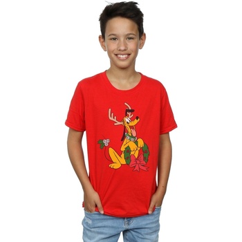 Abbigliamento Bambino T-shirt maniche corte Disney Pluto Christmas Reindeer Rosso