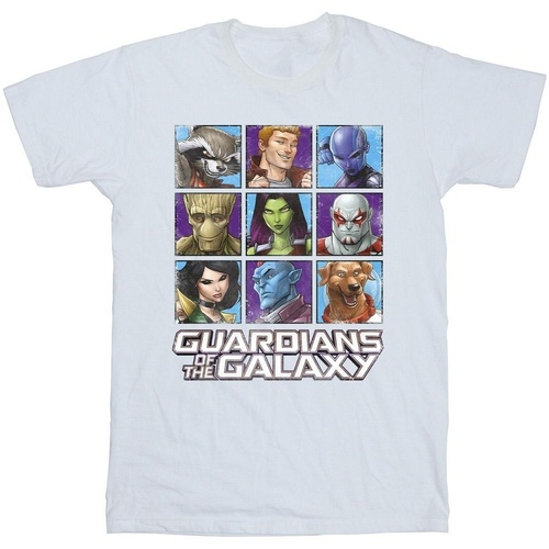 Abbigliamento Uomo T-shirts a maniche lunghe Guardians Of The Galaxy Character Squares Bianco