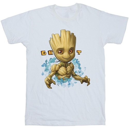 Abbigliamento Uomo T-shirts a maniche lunghe Guardians Of The Galaxy Groot Flowers Bianco