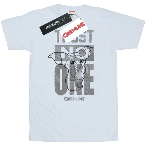 Abbigliamento Uomo T-shirts a maniche lunghe Gremlins Trust One Mogwai Bianco
