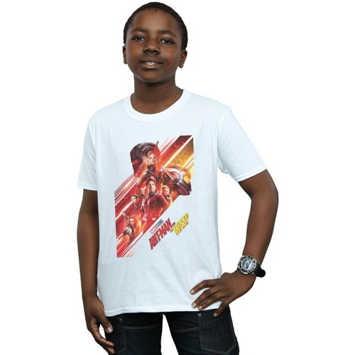 Abbigliamento Bambino T-shirt maniche corte Marvel Studios Ant-Man And The Wasp Poster Bianco