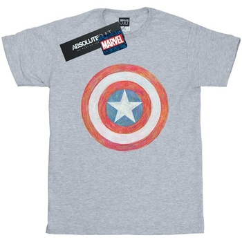 Abbigliamento Bambino T-shirt maniche corte Marvel Captain America Sketched Shield Grigio