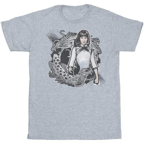 Abbigliamento Bambina T-shirts a maniche lunghe Marvel Shang-Chi And The Legend Of The Ten Rings Xialing Dragon Grigio