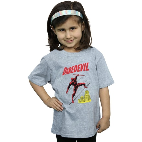 Abbigliamento Bambina T-shirts a maniche lunghe Marvel Daredevil Rooftop Grigio