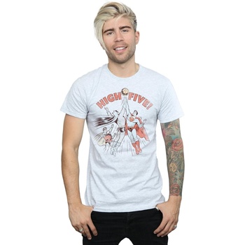 Abbigliamento Uomo T-shirts a maniche lunghe Dc Comics Justice League High Five Grigio