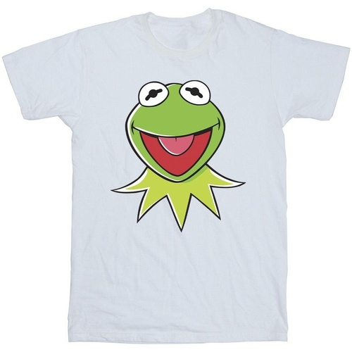 Abbigliamento Bambina T-shirts a maniche lunghe Disney Muppets Kermit Head Bianco