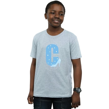 Abbigliamento Bambino T-shirt maniche corte Disney Alphabet C Is For Cinderella Grigio