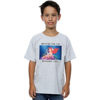 Abbigliamento Bambino T-shirt maniche corte Disney Ariel Waiting For The Weekend Grigio