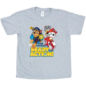 Abbigliamento Bambina T-shirts a maniche lunghe Nickelodeon Paw Patrol Ready For Action Grigio