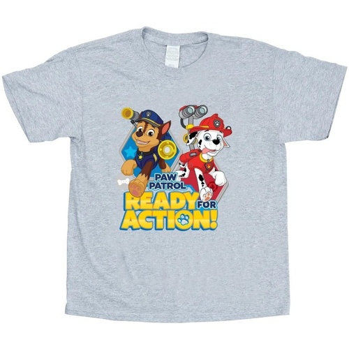 Abbigliamento Bambina T-shirts a maniche lunghe Nickelodeon Paw Patrol Ready For Action Grigio