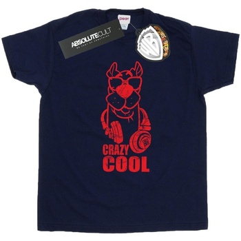 Abbigliamento Bambino T-shirt maniche corte Scooby Doo Crazy Cool Blu