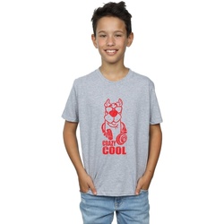 Abbigliamento Bambino T-shirt maniche corte Scooby Doo Crazy Cool Grigio
