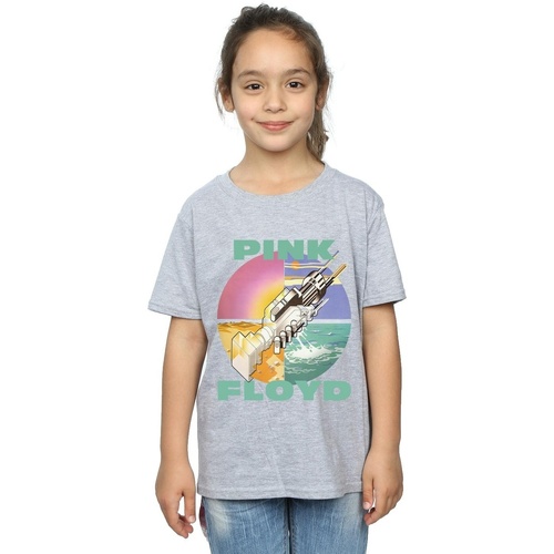 Abbigliamento Bambina T-shirts a maniche lunghe Pink Floyd Wish You Were Here Grigio