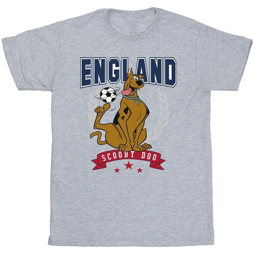 Abbigliamento Bambino T-shirt maniche corte Scooby Doo England Football Grigio