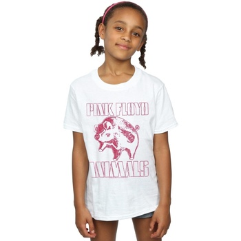 Abbigliamento Bambina T-shirts a maniche lunghe Pink Floyd Animals Algie Bianco