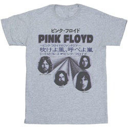 Abbigliamento Bambina T-shirts a maniche lunghe Pink Floyd Japanese Cover Grigio