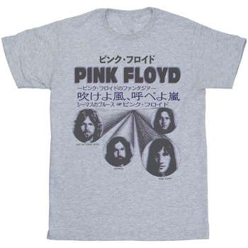 Abbigliamento Bambina T-shirts a maniche lunghe Pink Floyd Japanese Cover Grigio