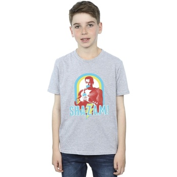 Abbigliamento Bambino T-shirt maniche corte Dc Comics Shazam Buble Gum Frame Grigio