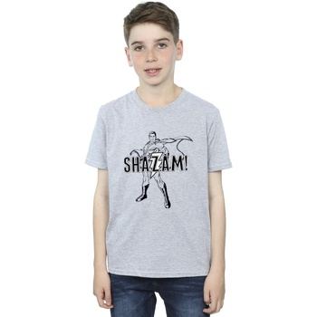 Abbigliamento Bambino T-shirt maniche corte Dc Comics Shazam Outline Grigio