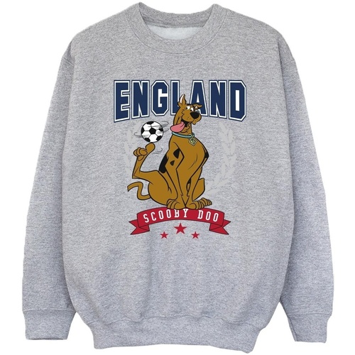 Abbigliamento Bambina Felpe Scooby Doo England Football Grigio
