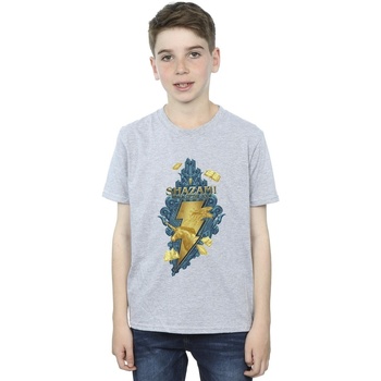 Abbigliamento Bambino T-shirt maniche corte Dc Comics Shazam Fury Of The Gods Golden Animal Bolt Grigio