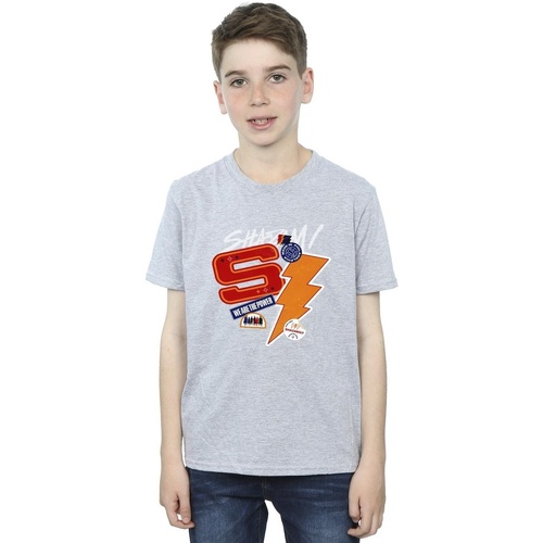 Abbigliamento Bambino T-shirt maniche corte Dc Comics Shazam Fury Of The Gods Sticker Spam Grigio