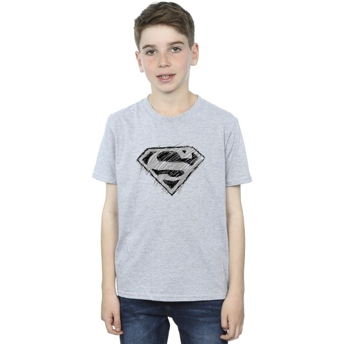 Abbigliamento Bambino T-shirt maniche corte Dc Comics Superman Logo Sketch Grigio