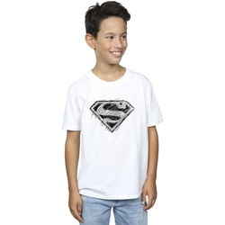 Abbigliamento Bambino T-shirt maniche corte Dc Comics Superman Logo Sketch Bianco