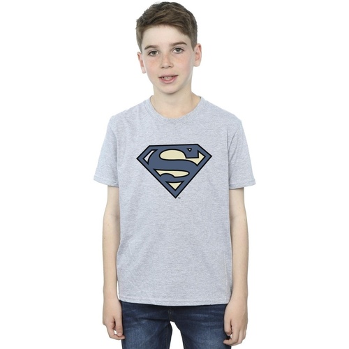 Abbigliamento Bambino T-shirt maniche corte Dc Comics Superman Indigo Blue Logo Grigio