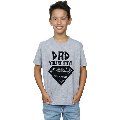 Abbigliamento Bambino T-shirt maniche corte Dc Comics Superman Super Dad Grigio