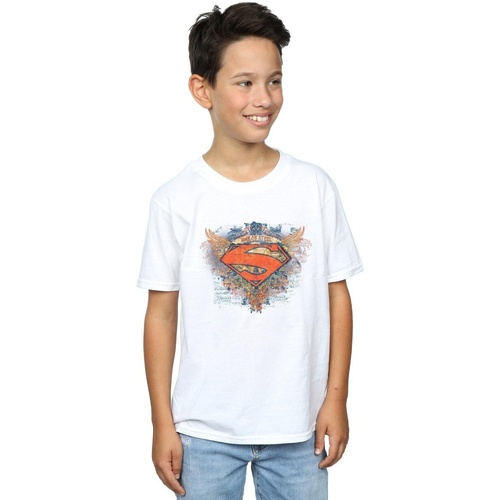Abbigliamento Bambino T-shirt maniche corte Dc Comics  Bianco