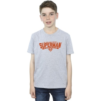 Abbigliamento Bambino T-shirt maniche corte Dc Comics Superman Hero Dad Grigio