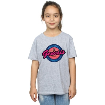 Abbigliamento Bambina T-shirts a maniche lunghe Genesis Neon Logo Grigio