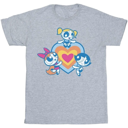 Abbigliamento Bambina T-shirts a maniche lunghe The Powerpuff Girls Heart Group Grigio