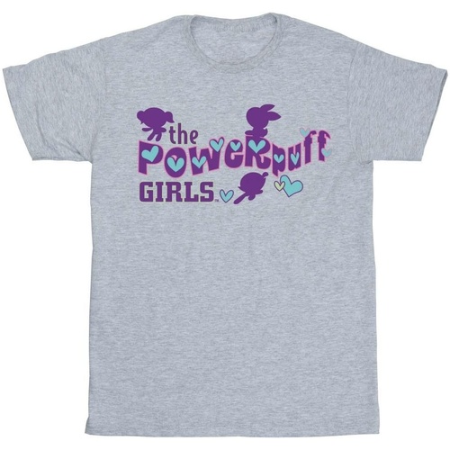 Abbigliamento Bambina T-shirts a maniche lunghe The Powerpuff Girls Purple Logo Grigio