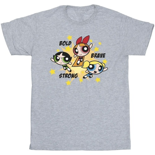 Abbigliamento Bambina T-shirts a maniche lunghe The Powerpuff Girls Bold Brave Strong Grigio